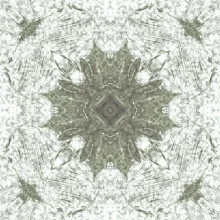 Hopalong, bold green